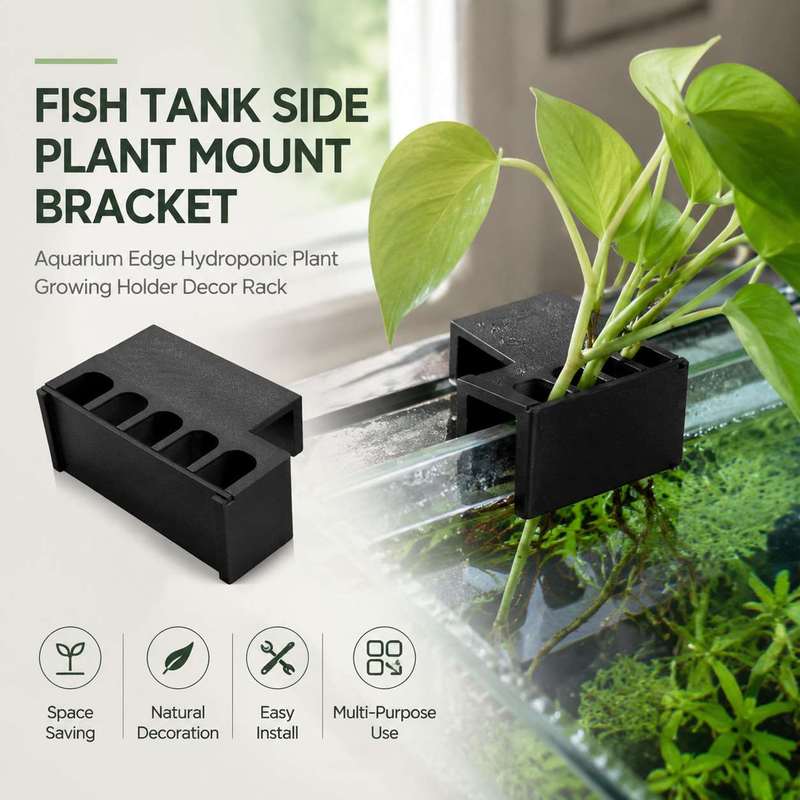Aquarium Plant Diseases - 水槽サイドプラントマウントブラケット水槽エッジ水耕栽培プラント育成ホルダー装飾ラック
