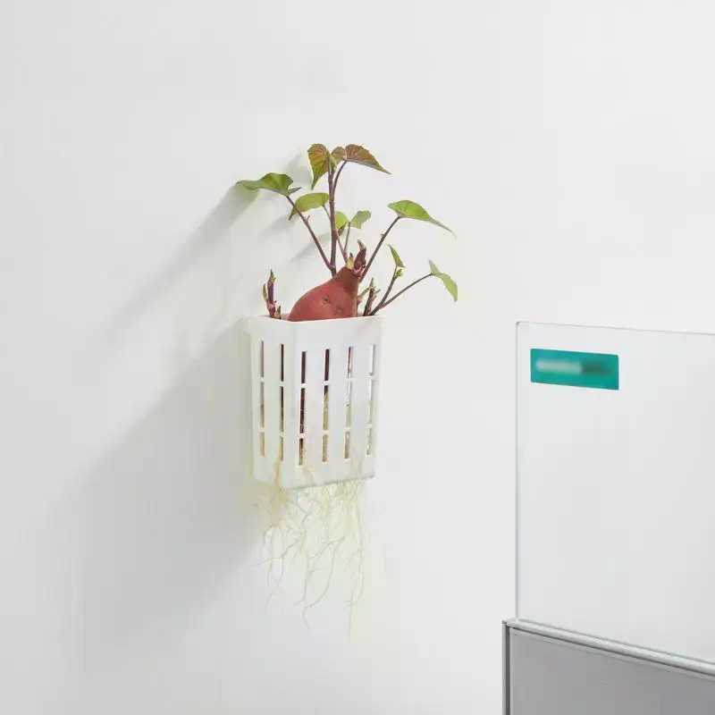 水耕栽培用サポートバスケット1個、水槽用植栽カップ、水草水生 - Aquarium Plant Grass のレビューと価格