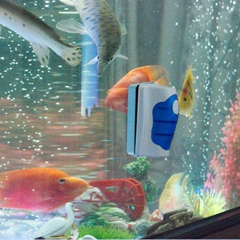 水族館用の超磁性ガラススクレーパー,洗浄ブラシ - Planted Aquarium Products のレビューと価格