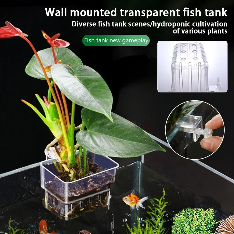 水槽吊り下げプランターカップ 壁掛け水生植物ホルダー 水槽プ - Aquarium Plant Holder のレビューと価格