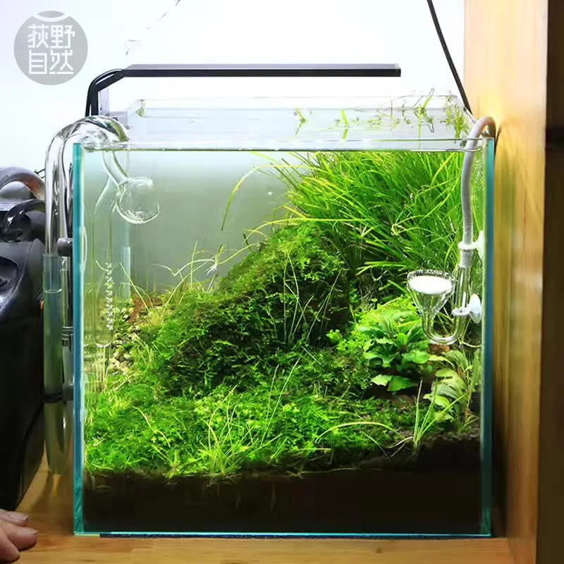 Chihiros C シリーズ ADA スタイル植物成長 L - Aquarium Plant Diseases のレビューと価格