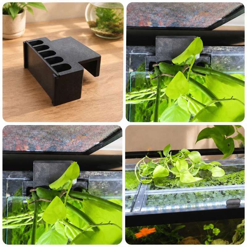 水槽サイドプラントマウントブラケット水槽エッジ水耕栽培プラン - Aquarium Plant Diseases のレビューと価格