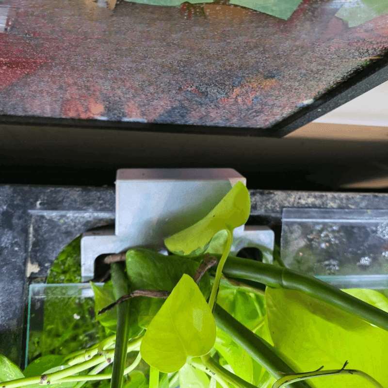 水槽サイドプラントマウントブラケット水槽エッジ水耕栽培プラン - Aquarium Plant Diseases のレビューと価格