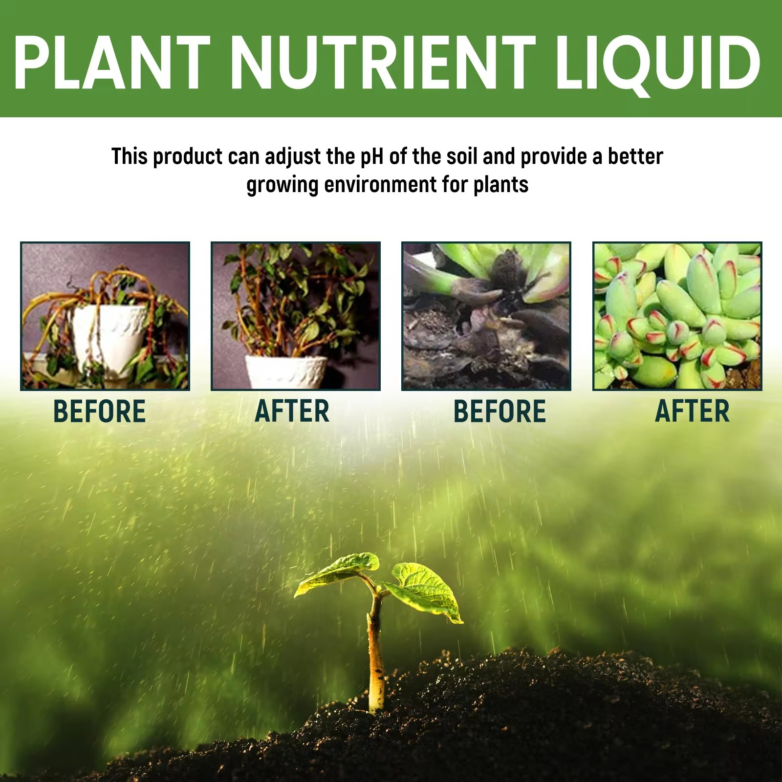 MOONSPRY 100ml 有機鉢植え植物栄養液 - 花、 - Liquid Fertilizer All In のレビューと価格