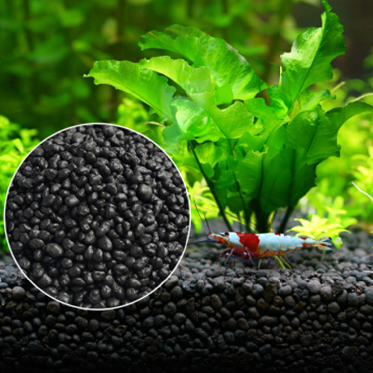 水族館植物の種子,水槽の素材,砂,土壌肥料,魚の手入れ,淡水 - Aquarium Plant Grass のレビューと価格