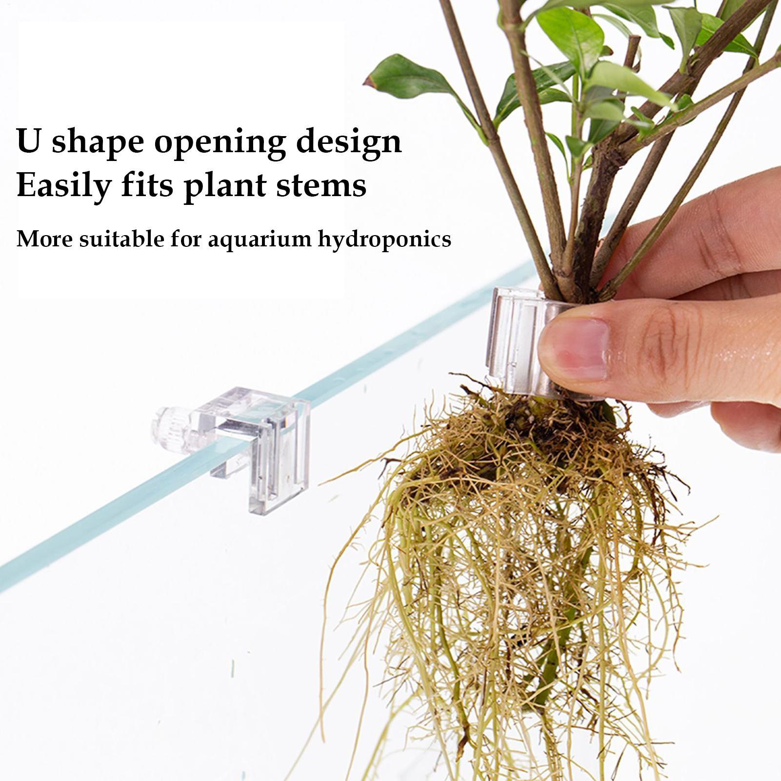 水槽用植物ホルダー 6個入り 透明水耕栽培カップ 吊り下げ式 - Aquarium Plant Diseases のレビューと価格