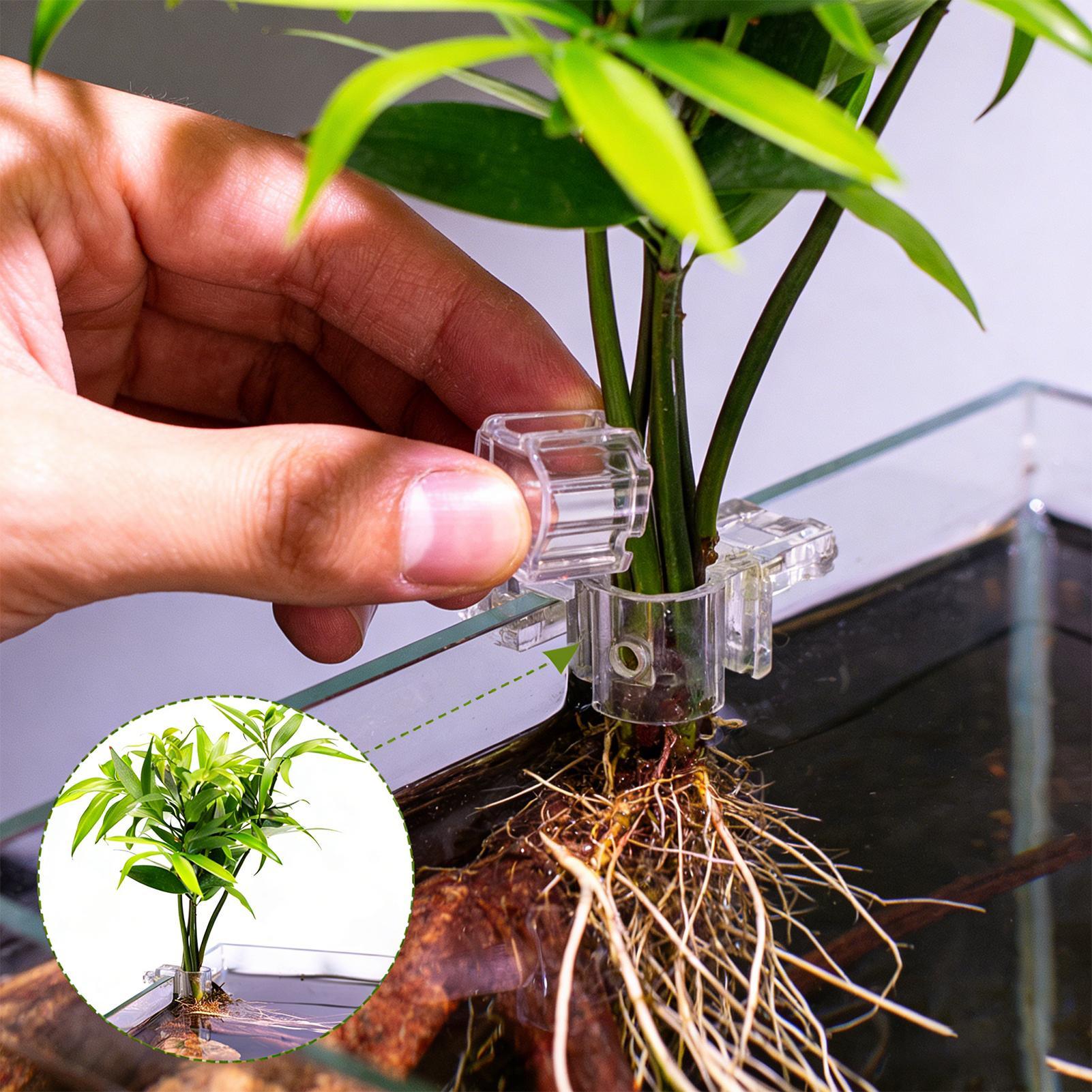 水槽用植物ホルダー 6個入り 透明水耕栽培カップ 吊り下げ式 - Aquarium Plant Diseases のレビューと価格
