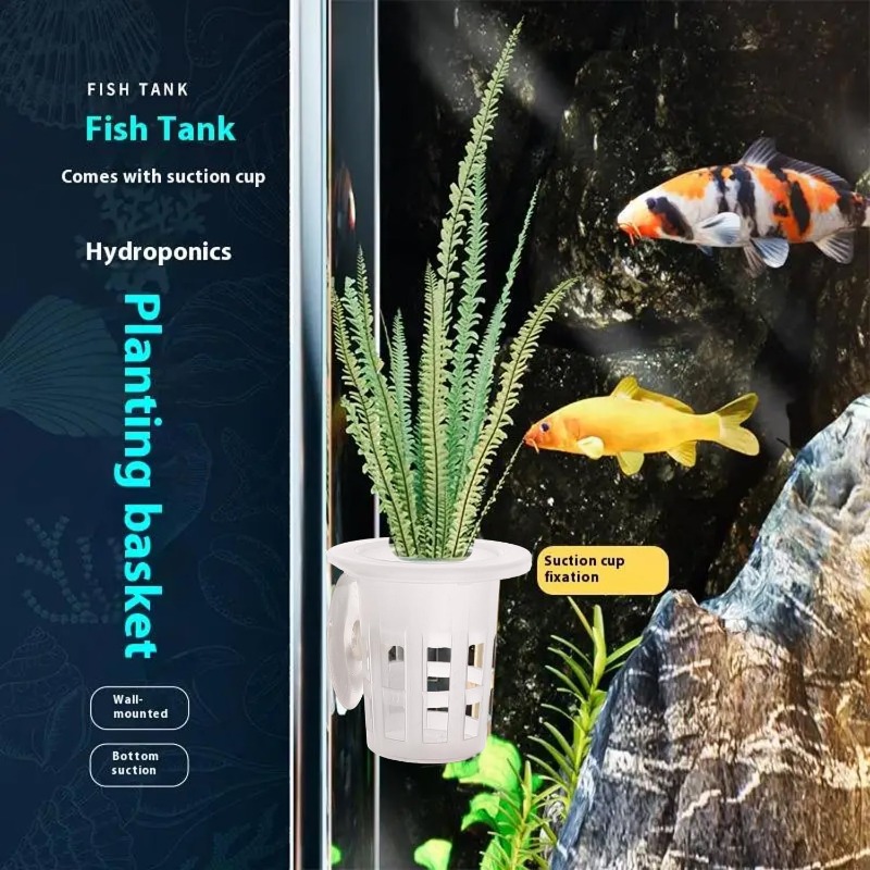 10/20/30個入りプラスチック製水槽用植栽カップ、吸盤付 - Aquarium Plant Diseases のレビューと価格