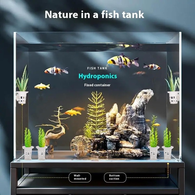 10/20/30個入りプラスチック製水槽用植栽カップ、吸盤付 - Aquarium Plant Diseases のレビューと価格