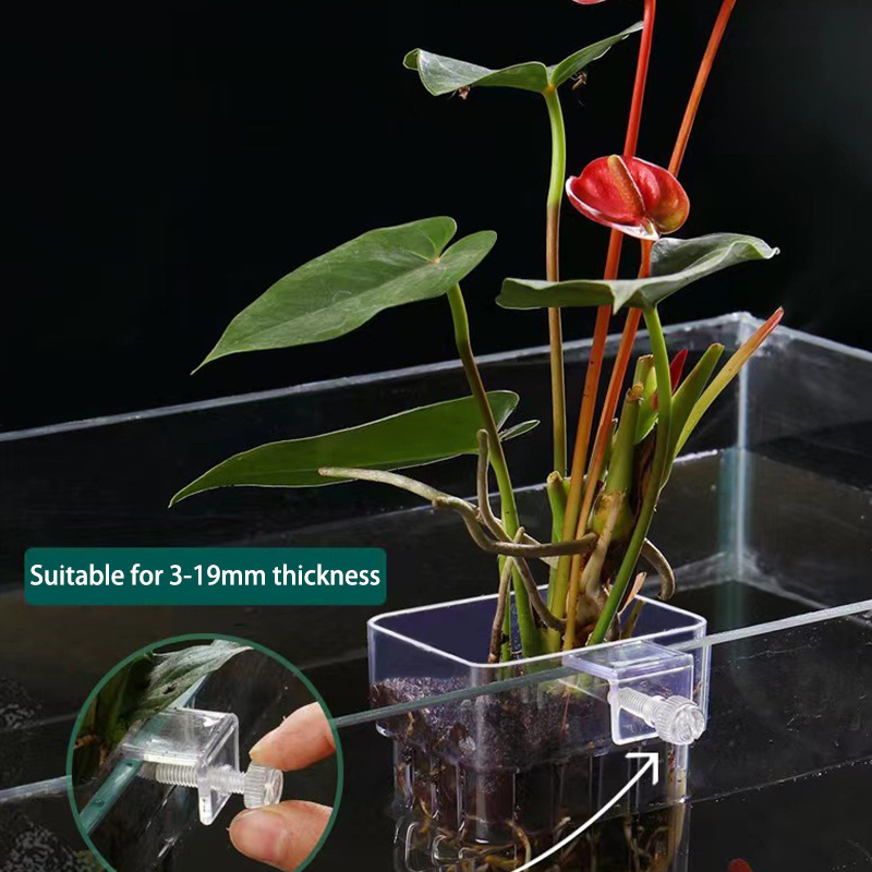 多機能フィッシュ水族館、水草植栽カップ、魚の分離ボックス、水 - Aquarium Plant Grass のレビューと価格