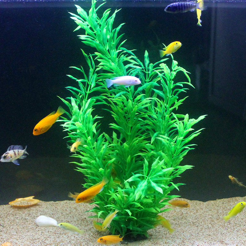 人工水槽50cm,珍しい植物,水族館,偽の竹の葉,水草,プラ - Aquarium Plant Grass のレビューと価格