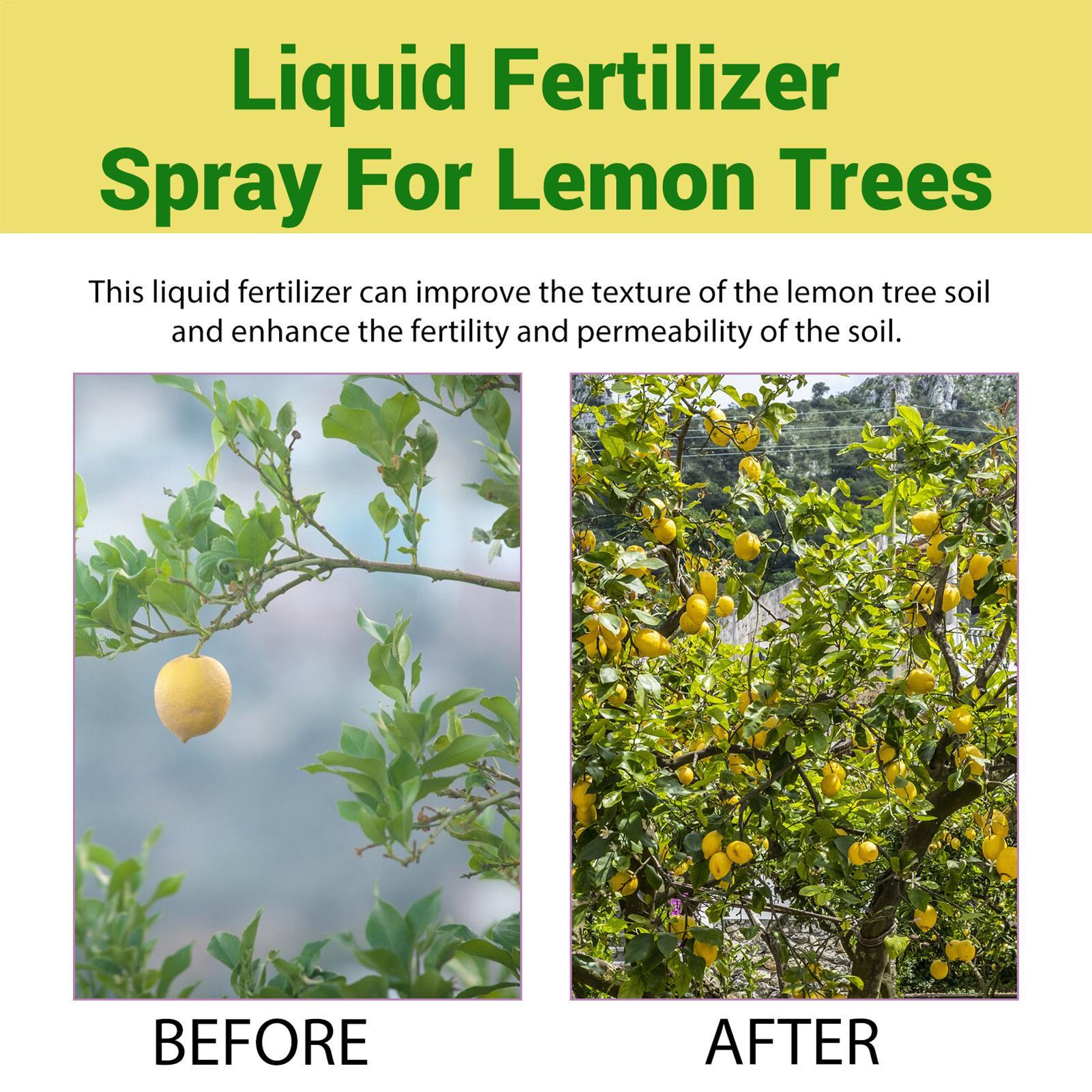 100ml オーガニック液体肥料 レモンの木の葉用成長促進ス - Liquid Fertilizer All In のレビューと価格